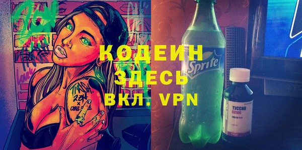 apvp Бородино