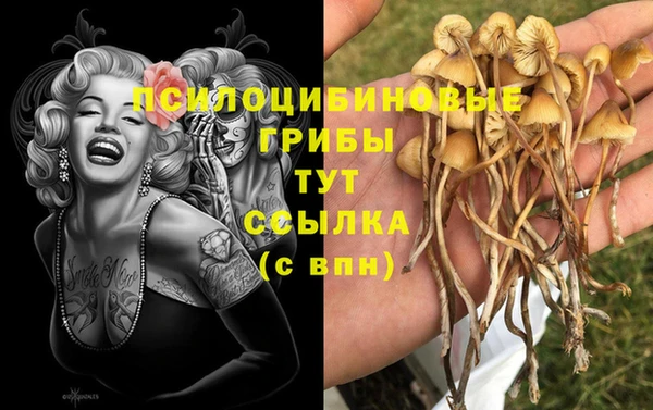 ALPHA PVP Бугульма