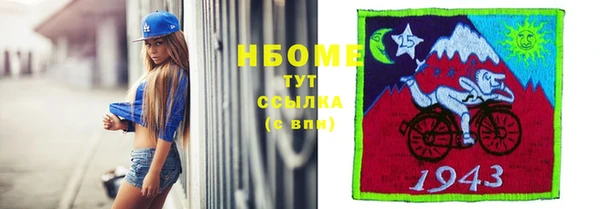 apvp Бородино