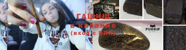 apvp Бородино