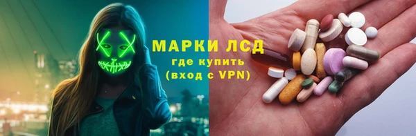 apvp Бородино