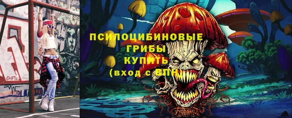 apvp Бородино