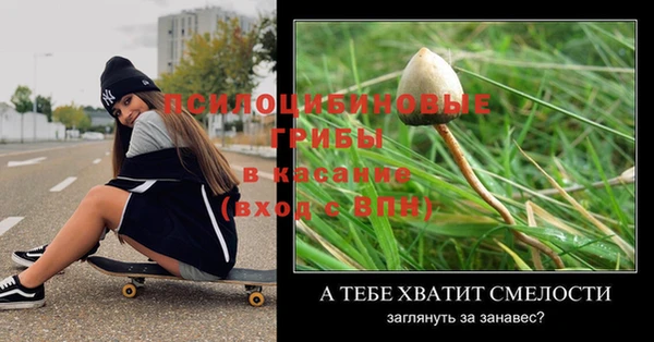 крисы Бронницы