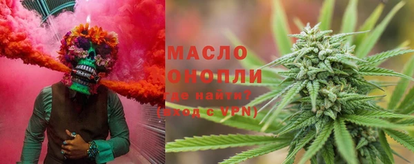 apvp Бородино