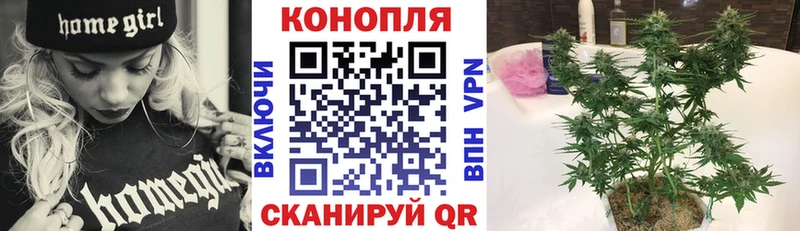 Бошки Шишки VHQ  Нижний Тагил 
